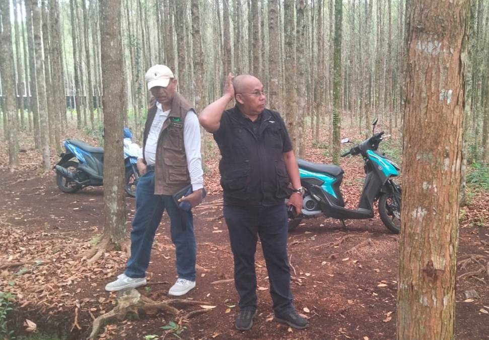 KADIN Riau Dorong Budidaya Porang dan Geronggang di Bengkalis